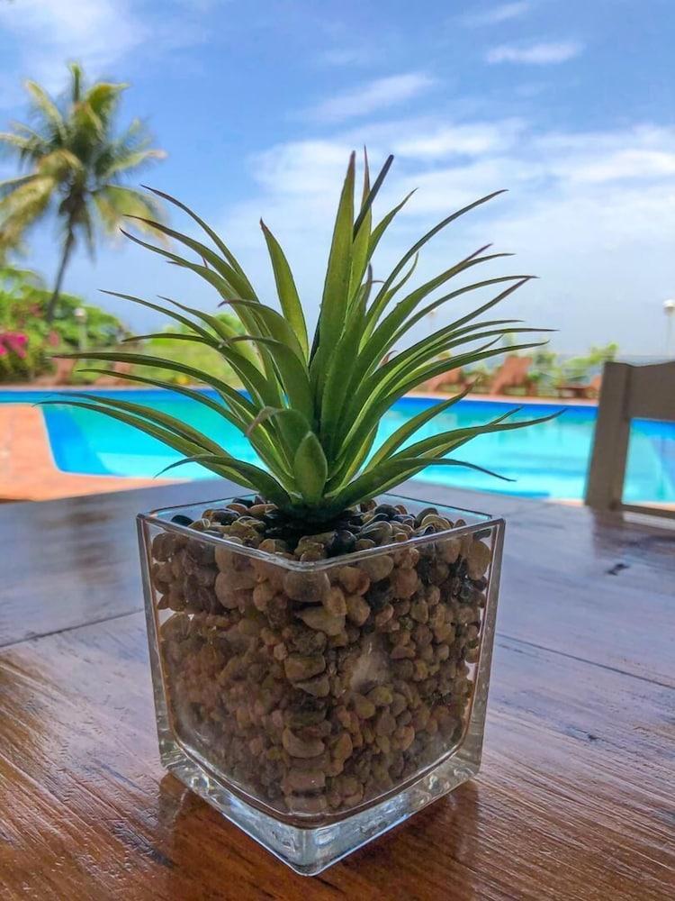 Hotel Mont Joli Cap-Haitien Bagian luar foto