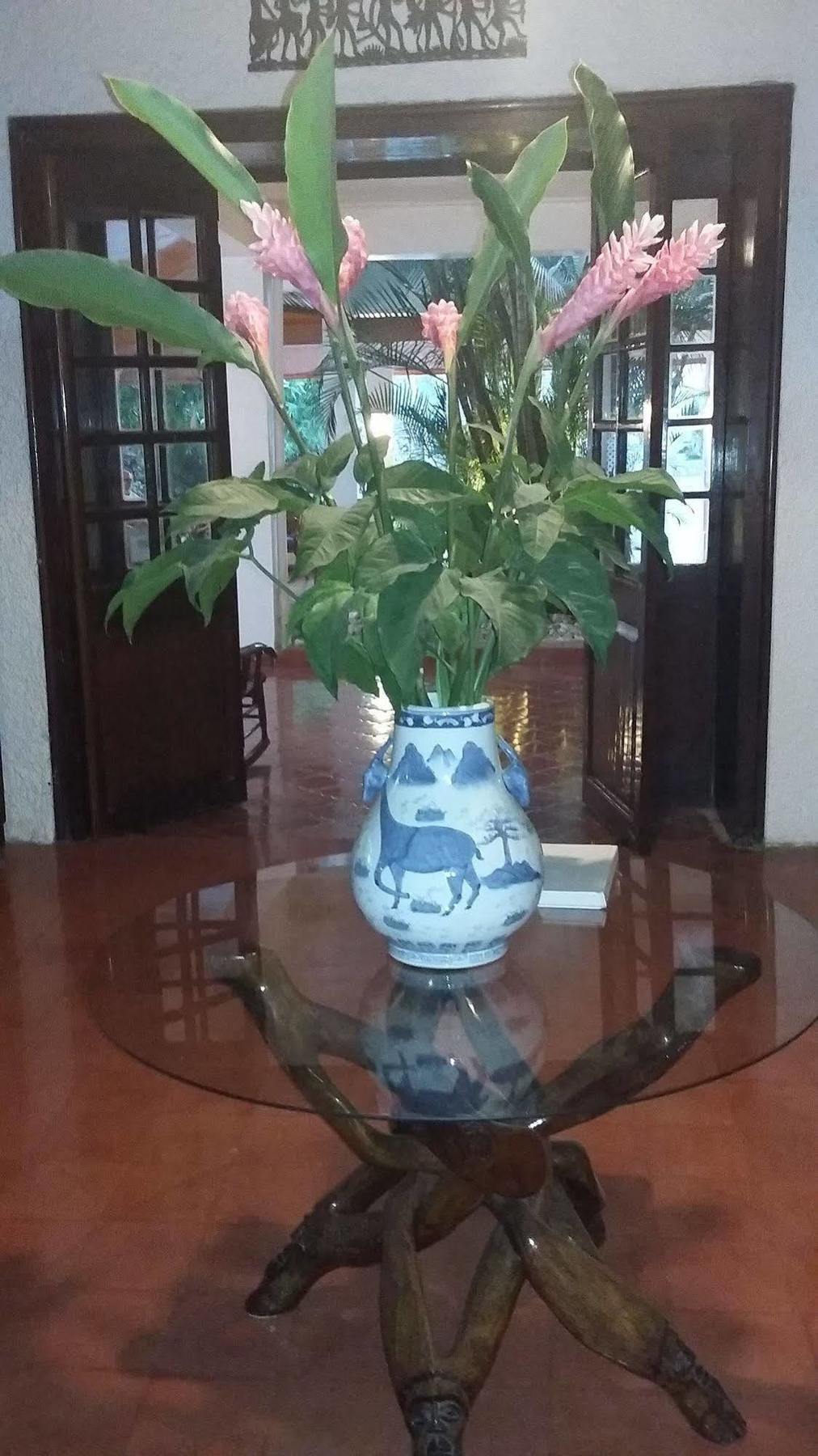 Hotel Mont Joli Cap-Haitien Bagian luar foto